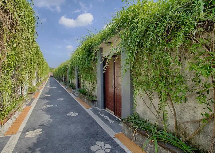 Guest house The Yogasari 3*